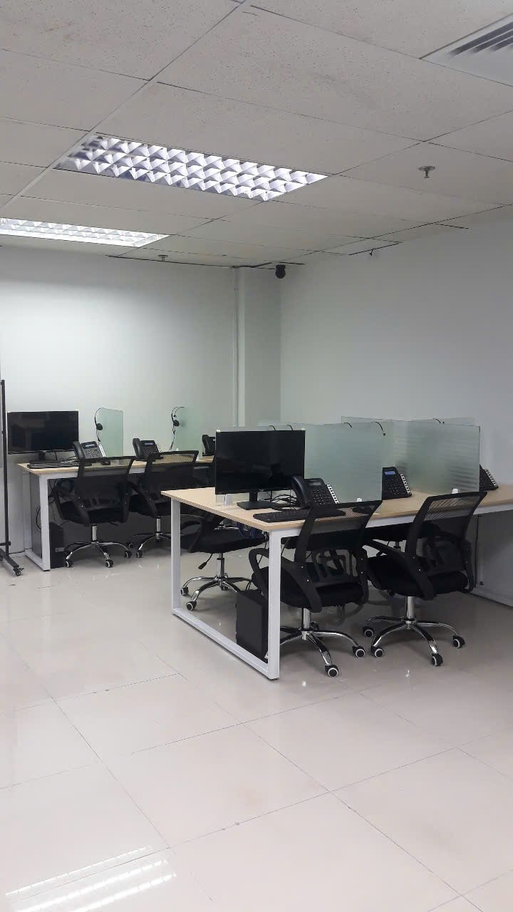 lĩnh vực hoạt động